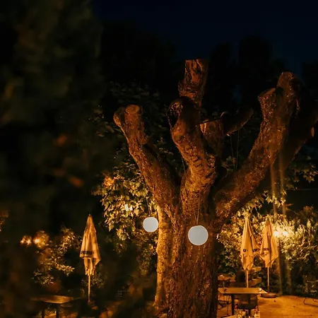 Hotel Le Cro-magnon Les Eyzies